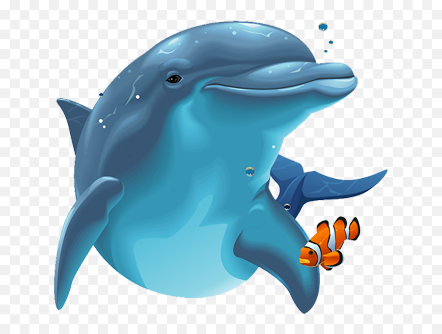 576x480 - Dolphin Png Emoji,Dolphin Emoji