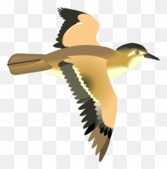 Free Flying Bird Cartoon Download Free Clip Art Free Clip - Flying Bird Clipart Free Emoji,Parrot Emoji