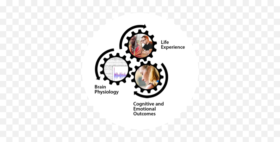 Sapien Labs Emoji,Emotion Laboratory Area Under The Curve