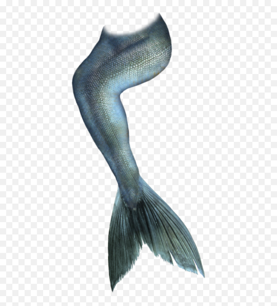 See Laetitiadez Profile On Picsart - Transparent Background Mermaid Tail Png Emoji,Eel Emoji