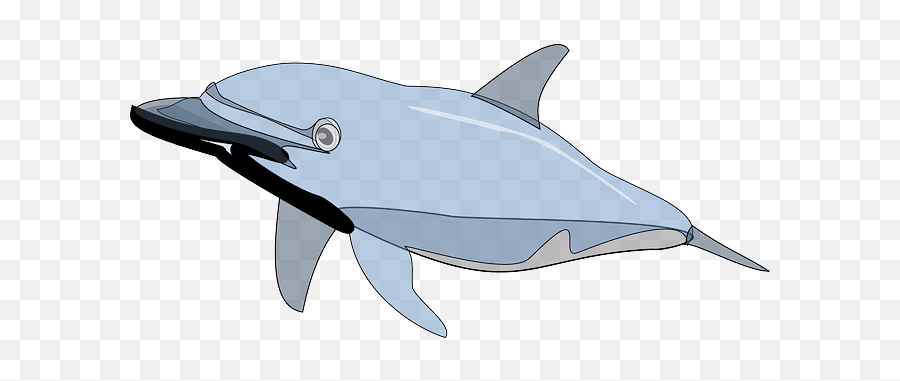 Mammal Fish Sea Ocean Dolphin - Dolphin Clip Art Emoji,Dolphin Emotions