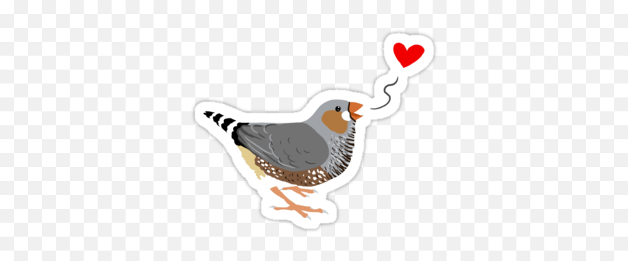 Zebra Finch Love Sticker - Phasianidae Emoji,Finch Emoji