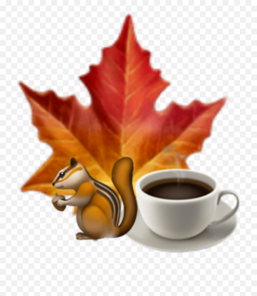 Autumn Squirrel Leaf Coffee Sticker Emoji,Teacup Emoji