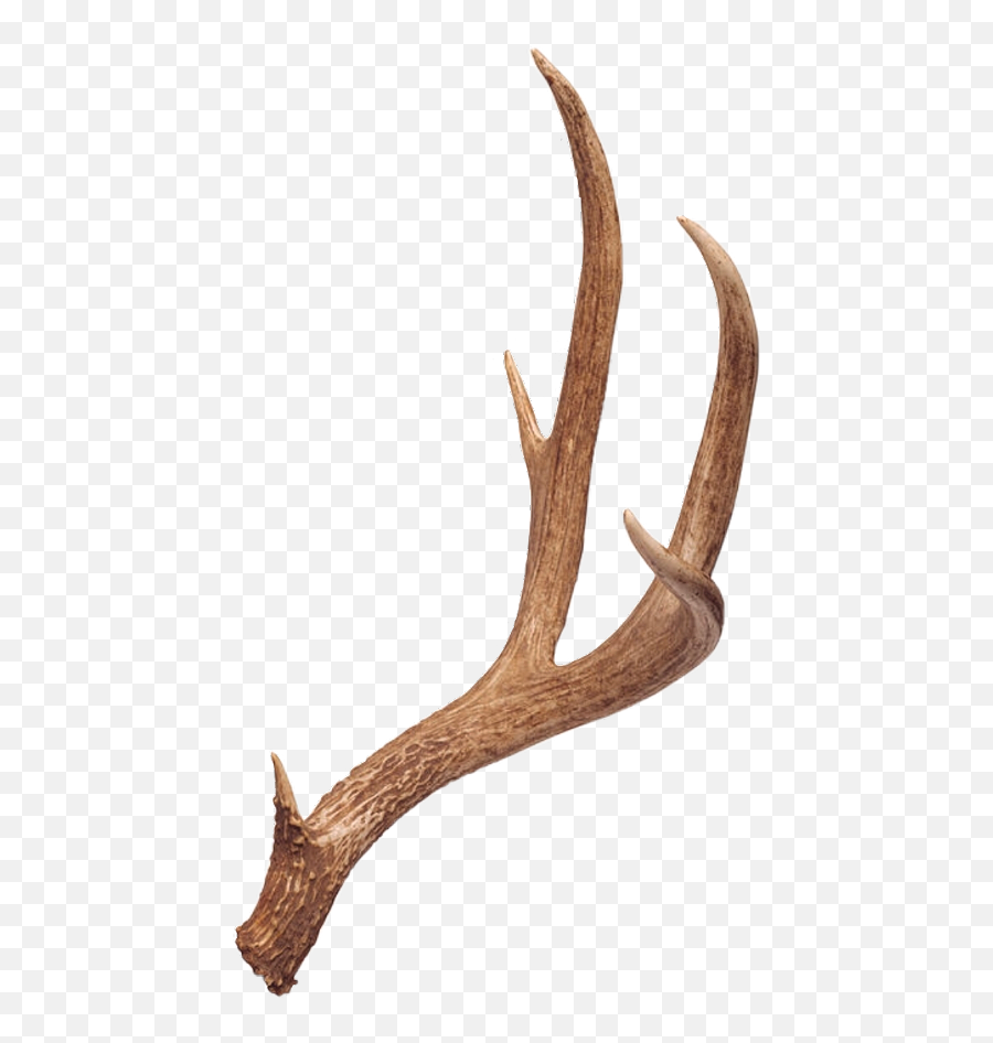 Reindeer Antler Horn Clip Art - Transparent Png Download Transparent Deer Antler Emoji,Antler Emoji