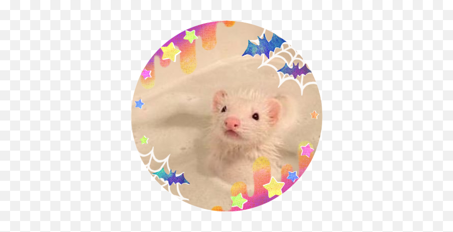 Rat Mngler On Twitter I Fuckinf This Is The Only - Ferret Emoji,Cursed Emoji Transparent
