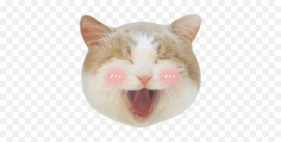 Cat Meow Emoji Sticker By Salurai Miku - Soft,Cat Emoji Transparent Cat Meow Emoji Sticker By Salurai Miku - Soft,Cat Emoji Transparent
