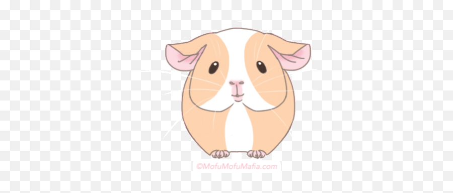 Top Guineapigs Stickers For Android - Guinea Pig Cartoon Gif Emoji,Guinea Pig Emoji