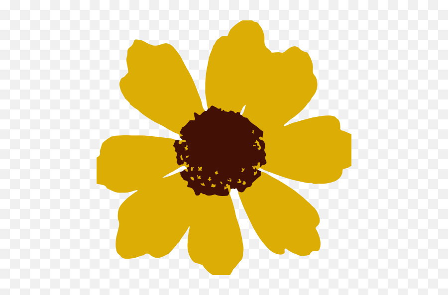 Greg Spawton Of Big Big Train - Sunflowers Emoji,Robert Fripp Steven Wilson Emotion
