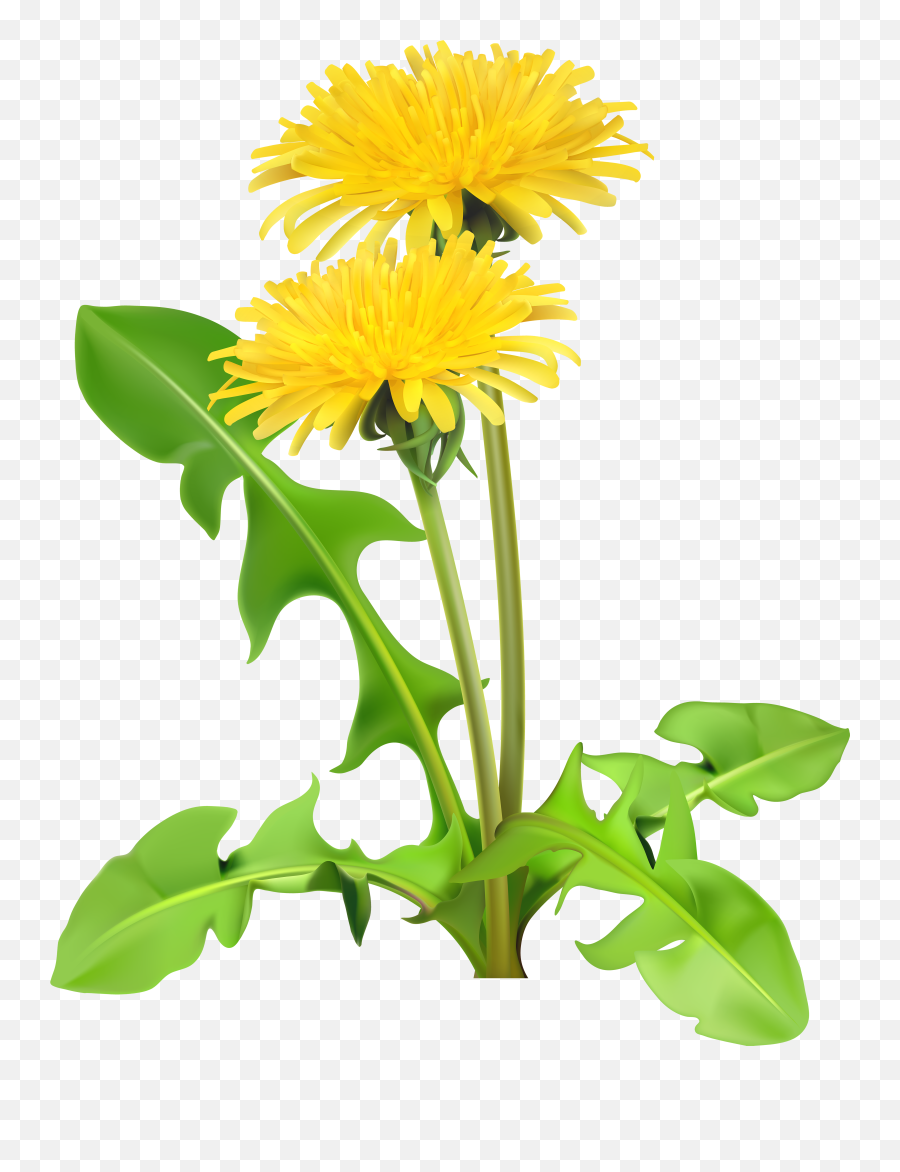 Cute Whatsapp Emoji - Transparent Clipart Dandelion,Facebook Thistle Emoji