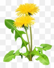 Cute Whatsapp Emoji - Transparent Clipart Dandelion,Facebook Thistle Emoji