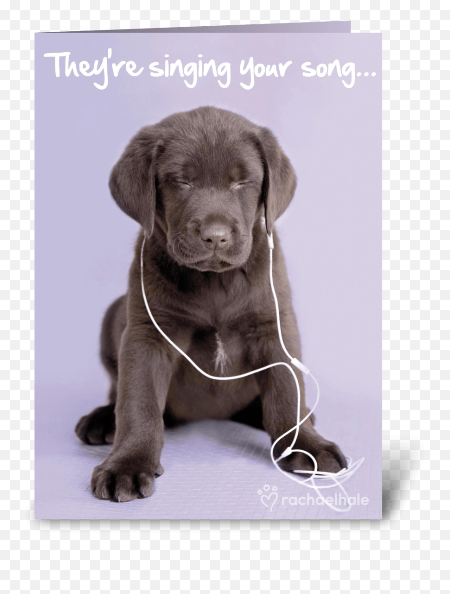 Send This Greeting Card Designed - Cute Puppy Listening To Music Emoji,Happy Birthday Emoticons With Labrador Retriever