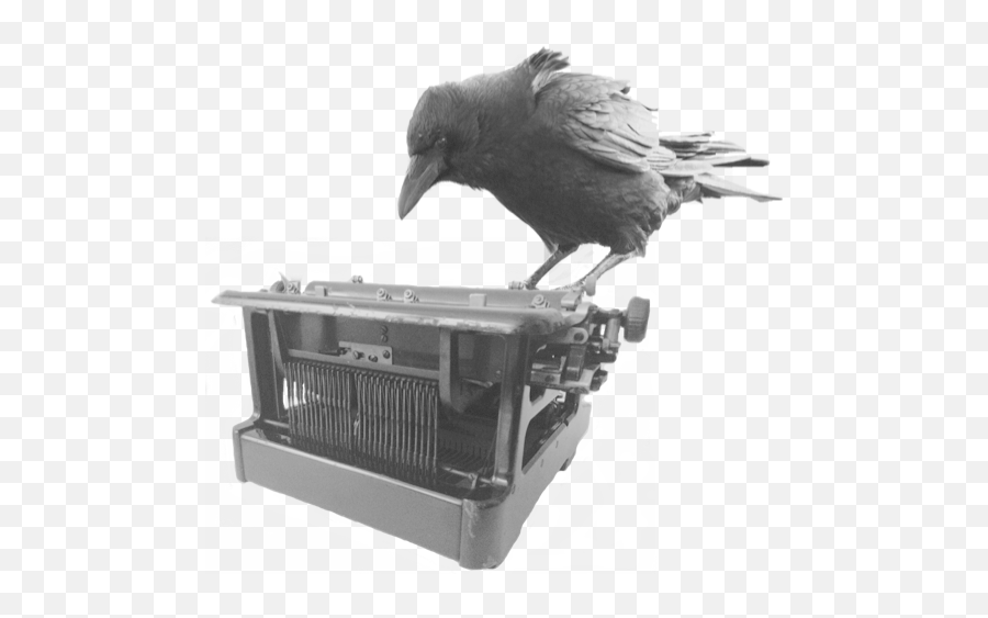 Keyboard Raven - American Crow Emoji,Raven With Emotions