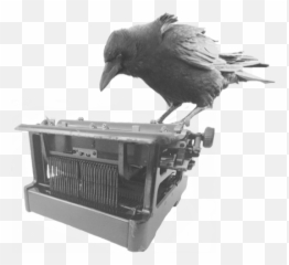 Keyboard Raven - American Crow Emoji,Raven With Emotions