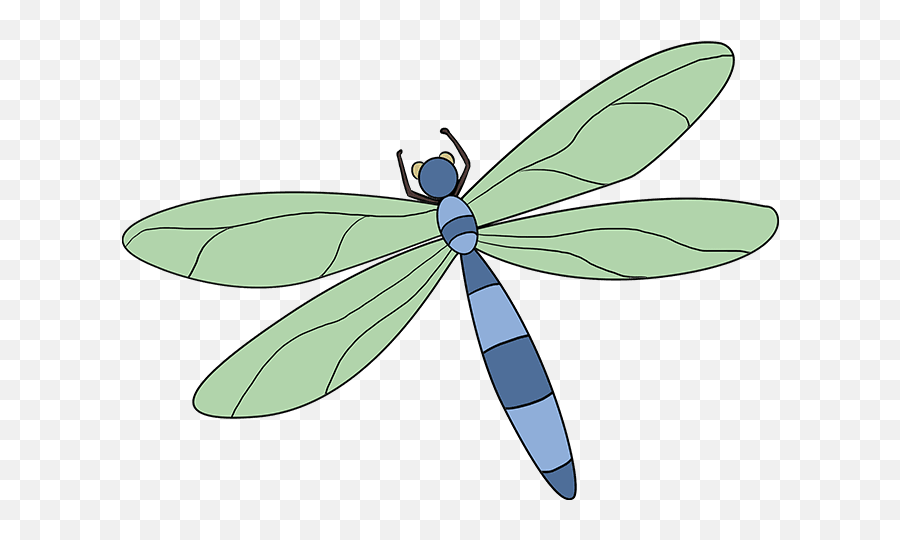 How To Draw A Dragonfly - Really Easy Drawing Tutorial Step How To Draw A Dragonfly Emoji,Dragonfly Text Emoticon