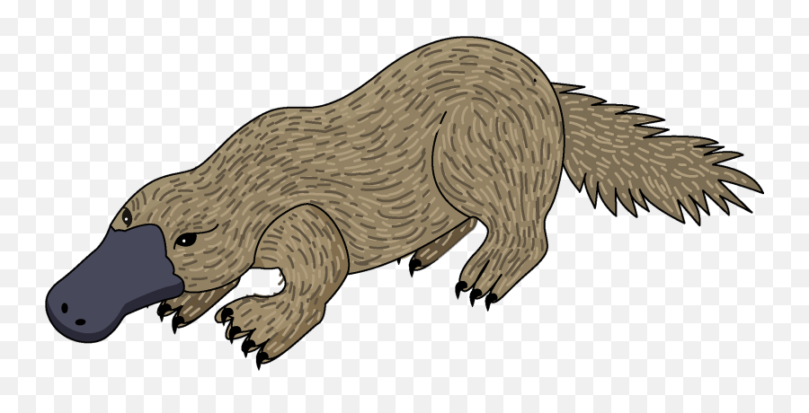 Platypus Clipart - Mustelids Emoji,Platypus Emoji