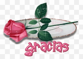 Gifs - Transparent Black Flower Gif Emoji,Emoticon De Muchas Rosas Para Whatsapp