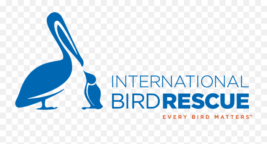 Founderu0027s Story - International Bird Rescue Emoji,Bird That Had Emotions