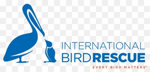 Founderu0027s Story - International Bird Rescue Emoji,Bird That Had Emotions