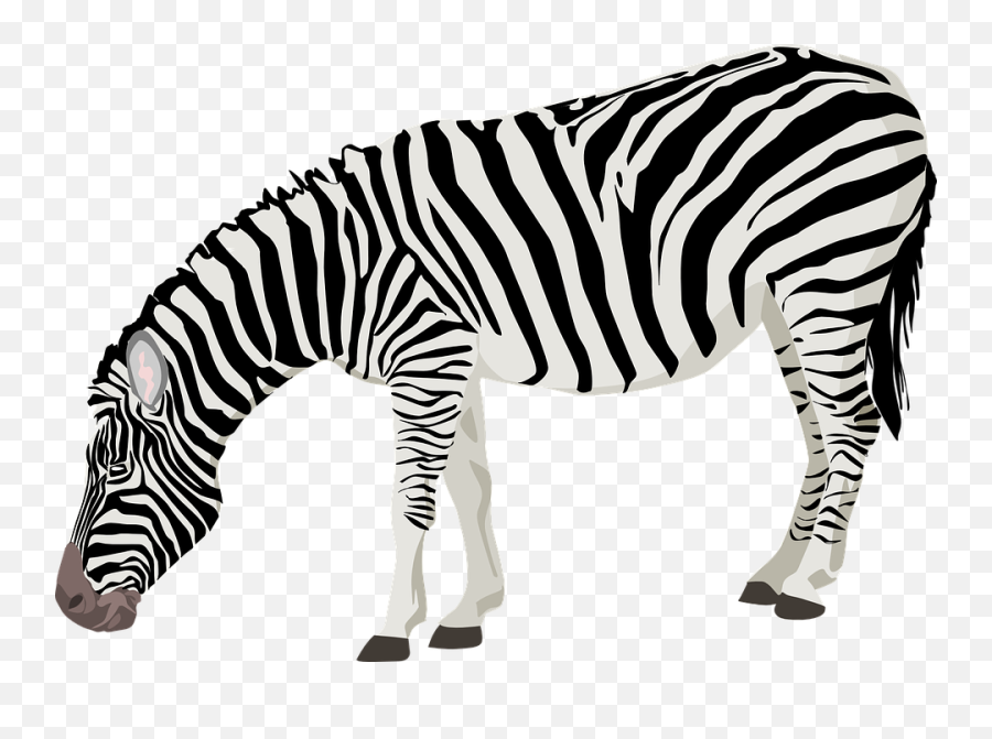 Zebra Png Svg Clip Art For Web - Download Clip Art Png Zebra Png Emoji,Zebra Emoji