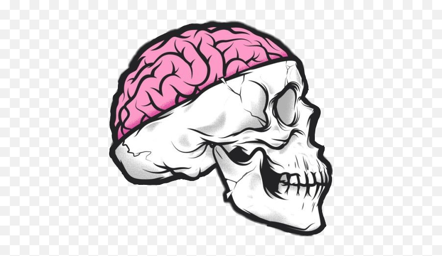 Popular And Trending - Craneo Con Cerebro Dibujo Emoji,Skelton Emoji