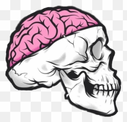 Popular And Trending - Craneo Con Cerebro Dibujo Emoji,Skelton Emoji