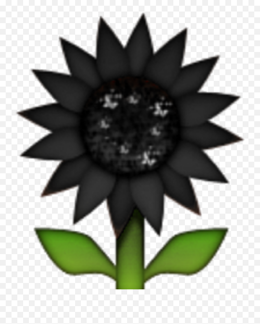 Mq Black Sunflower Flower Emojis - Vector Graphics,Black Flower Emoji