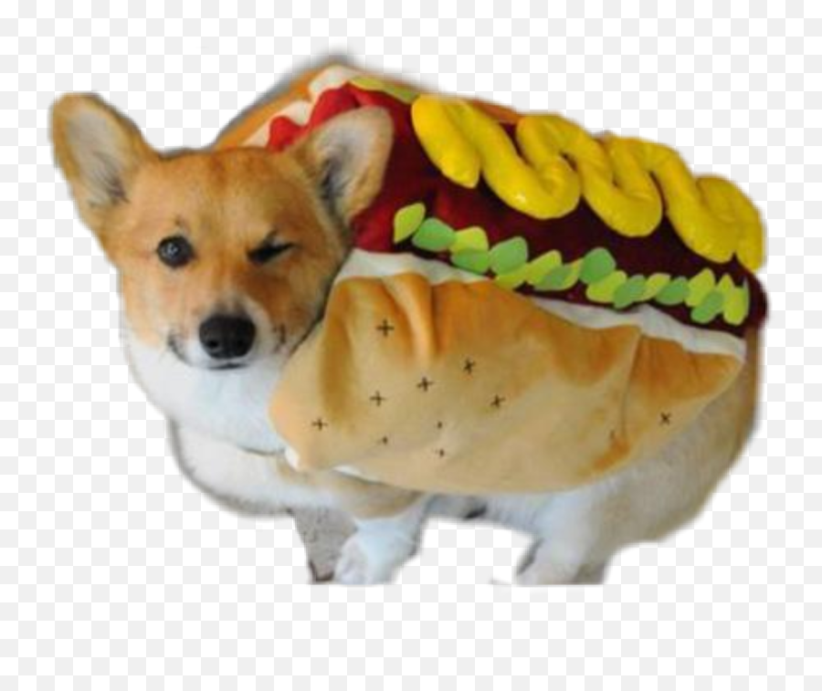 Hot Dog Sticker Challenge On Picsart - Dog Toy Emoji,Facebook Brown Dog Emoticon