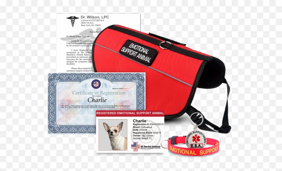 Us Service Animals - Service Animal Chihuahua Certificates Emoji,Animals Who Represent Emotion