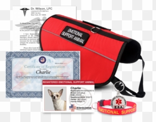 Us Service Animals - Service Animal Chihuahua Certificates Emoji,Animals Who Represent Emotion