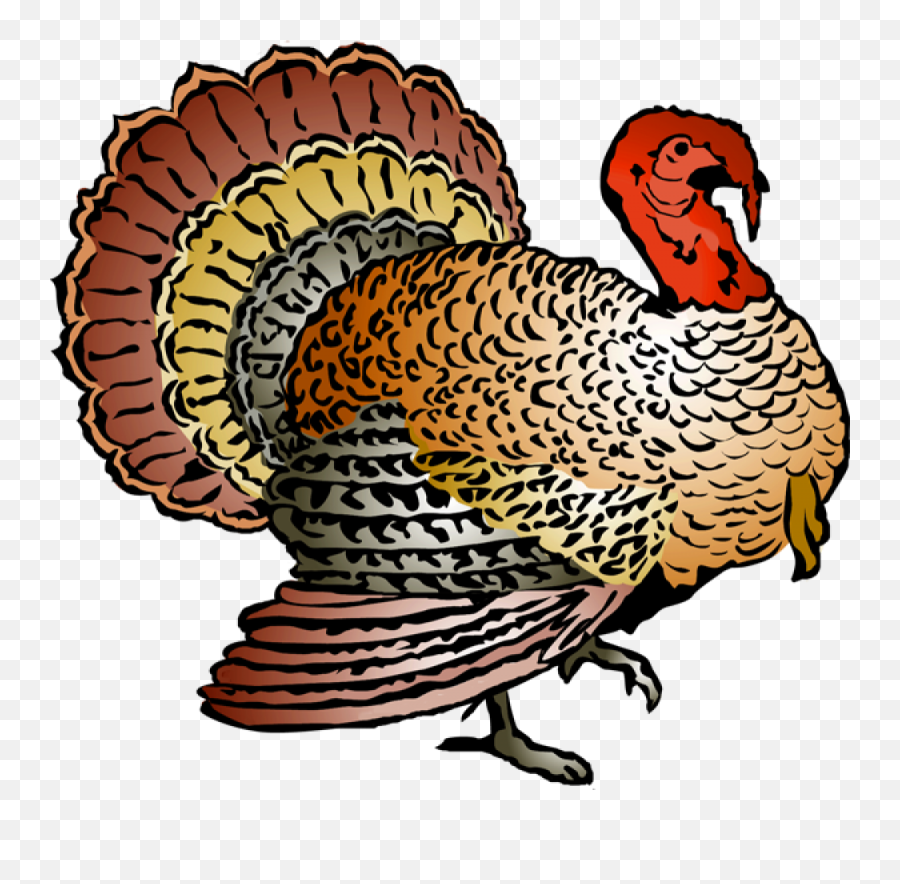 Colorful Clip Art For The Autumn Season Emoji,Thanksgiving Turkey Emoji
