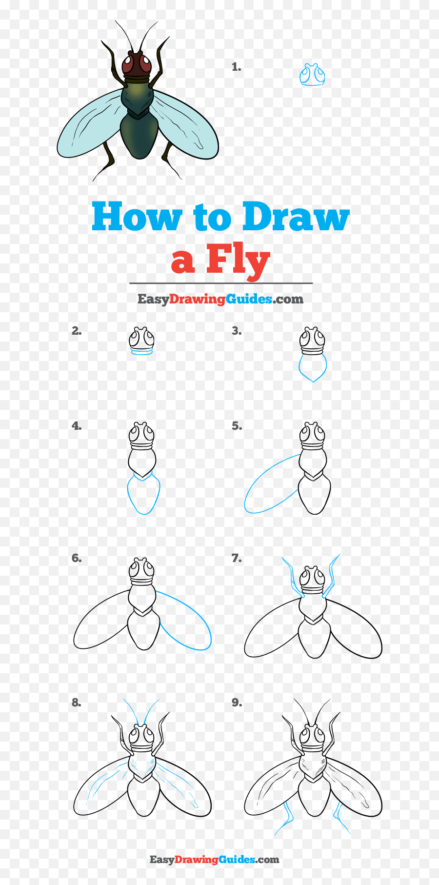 The Best 28 Cartoon Fly Drawing Easy - Imagebirdbox Draw A Lake Step By Step Emoji,Housefly Emoticon
