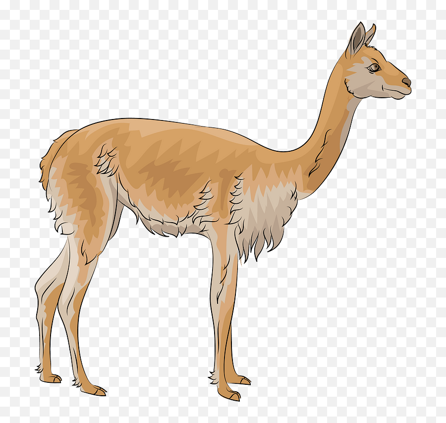 Vicuna Clipart - Vicuña Dibujo Animado Emoji,Llama Emoji