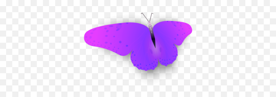 Bright Butterfly Stickers By Keith Lang - Girly Emoji,Purplebutterfly Emojis