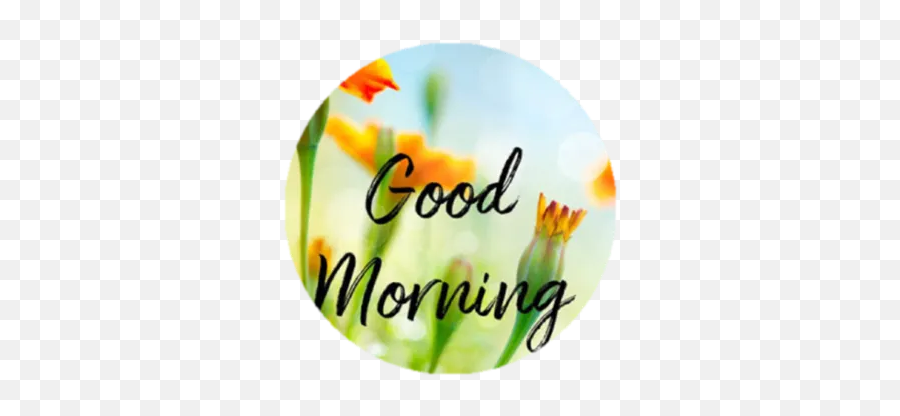 Good Morning By - Sticker Maker For Whatsapp Emoji,Funny Good Morning Emoticon