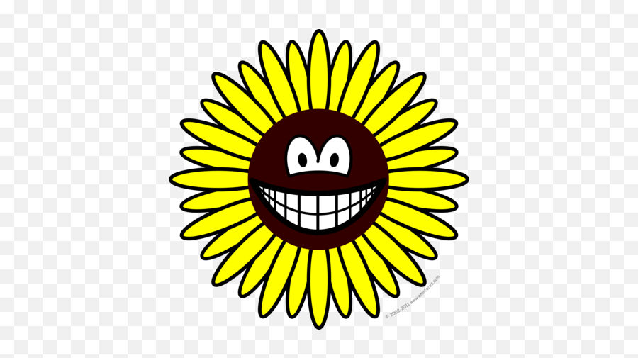 Smilies Emofaces - Lawrence Vidya Bhawan Kursoo Rajbagh School Emoji,Sunflower Emoticon