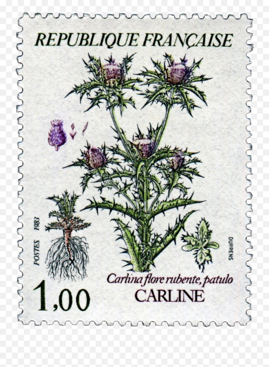Stamp Stamps Flower Flowers Png Sticker By Treesowl Emoji,Emoji Stamps