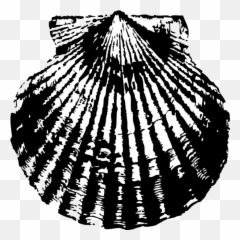 Scallop Png Svg Clip Art For Web - Scallop Silhouette Emoji,Scallop Emoji