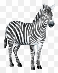 Zebra Zebrastripes Wildanimal Sticker By Stacey4790 - Zebra Print Emoji,Zebra Emoji