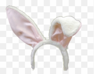 Bald Head Snapchat Filter Transparent Png - Stickpng Transparent Background Bunny Ears Transparent Emoji,Bald Emoji