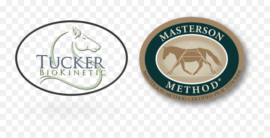 Masterson Method - Malinta National High School Emoji,Horse Emotions