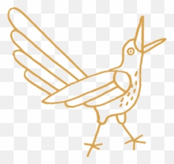 Testimonials U2014 Diana Ascarrunz Photography - Bird Gif Emoji,Disappointment Emotions Gif