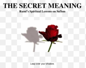 Secret Meaning Rumis Spiritual Lessons - Secret Meaning Emoji,Rumi Poem About Greeting Emotion