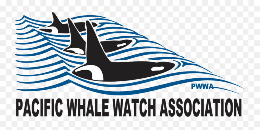 Media Pacific Whale Watch Association Emoji,Whales Mimicking Human Emotion