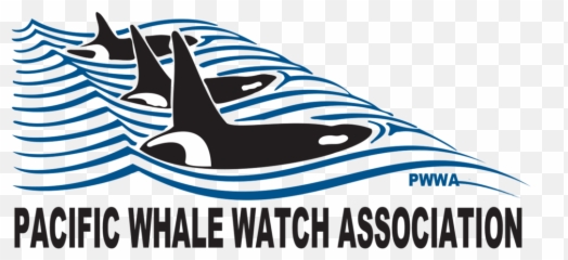 Media Pacific Whale Watch Association Emoji,Whales Mimicking Human Emotion