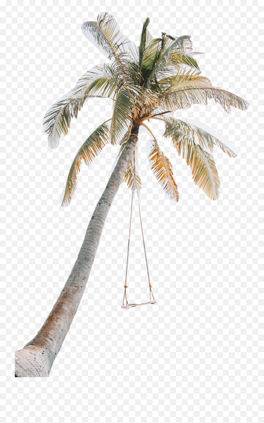 The Most Edited Swing Picsart - Beach Nude Emoji,Palm Tree Drink Lightning Umbrella Emoji