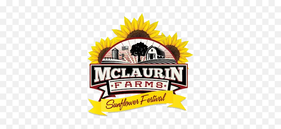 Mclaurin Farms Sunflower Festival Greensboro Nc - Mclaurin Farms Emoji,Facebook Sunflower Emoticons