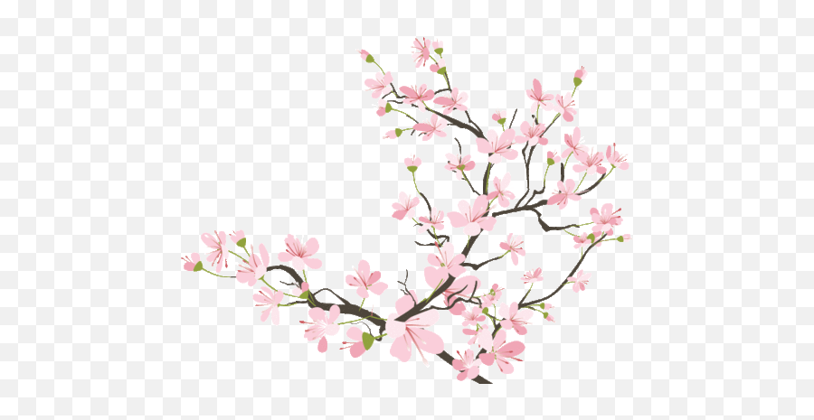 Flower Drawing Png Tumblr Flower Drawing Png Tumblr - Japanese Cherry Blossom Transparent Emoji,Emoji Background Tumblr