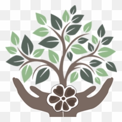 Ayahuasca Retreat In Peru At The Nimea Kaya Retreat Center - Tree Of Knowledge Emoji,Emotion Kayas