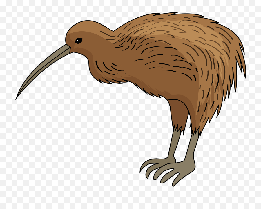 Kiwi Bird Clipart - Kiwi Bird Clipart Png Emoji,Kiwi Bird Emoji