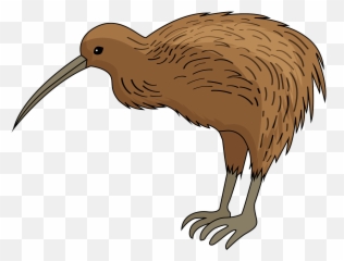 Kiwi Bird Clipart - Kiwi Bird Clipart Png Emoji,Kiwi Bird Emoji